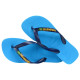 Havaianas Brasil Logo